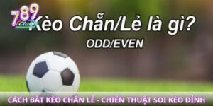 Cách bắt kèo chẵn lẻ