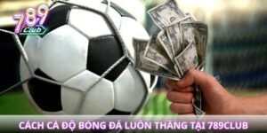 cách cá độ bóng đá luôn thắng