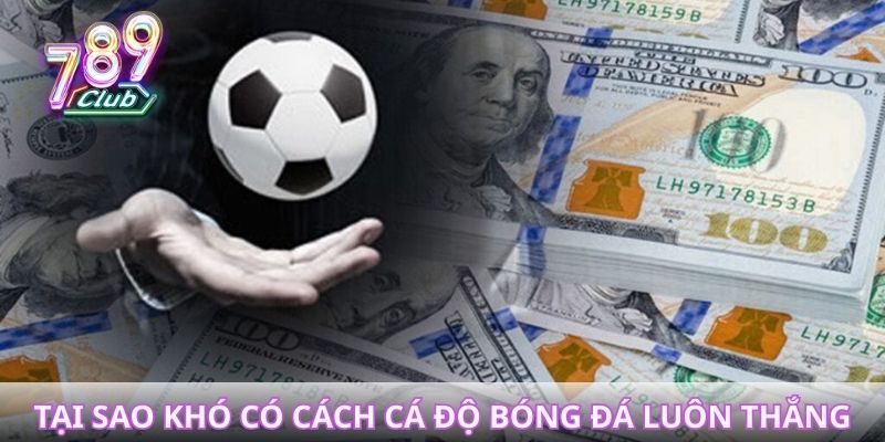 Tại sao khó có cách cá độ bóng đá luôn thắng 100%?