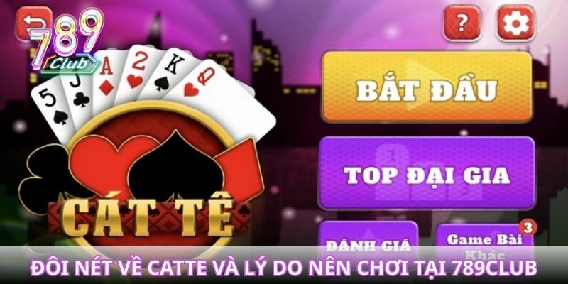 Đôi nét về catte và lý do nên chơi tại 789club