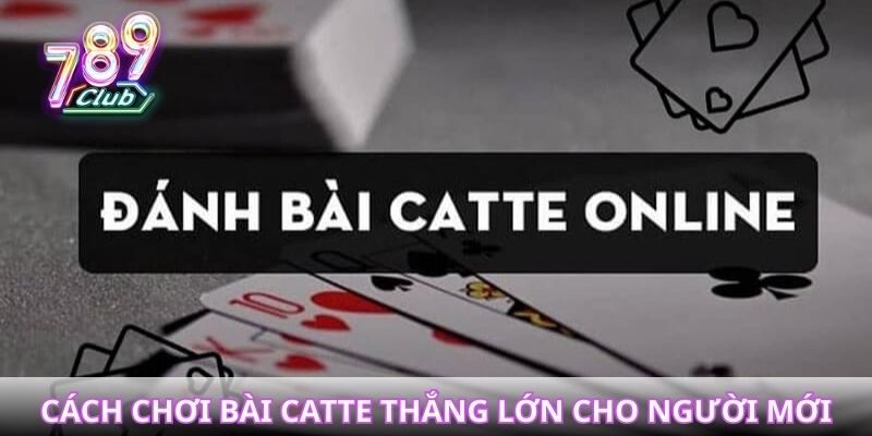 Cách chơi bài catte thắng lớn cho người mới tại 789club