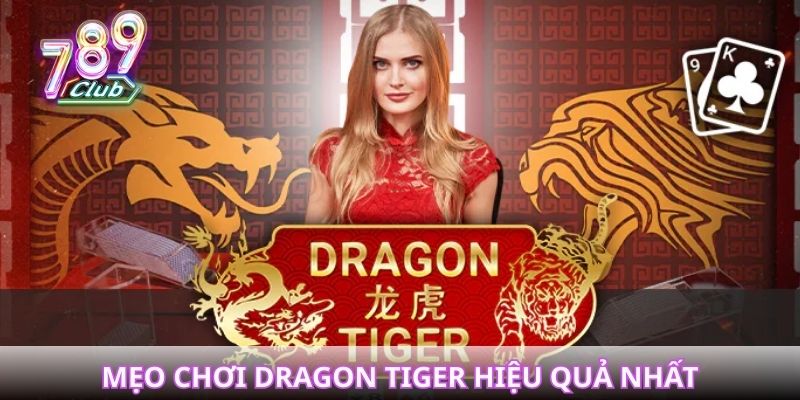 Tổng hợp các mẹo chơi Dragon Tiger hiệu quả nhất